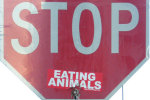 Stop eating animals