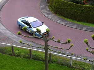 Overzichtsfoto