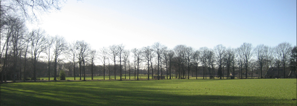 Het fraaie landschap